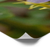 Poster Colonne pleine image (Coin)