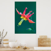 Poster Colonne rouge (Cuisine)