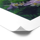 Poster Colonnes COLORado (Coin)