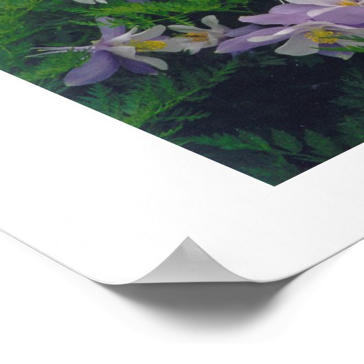 Poster Colonnes COLORado (Coin)