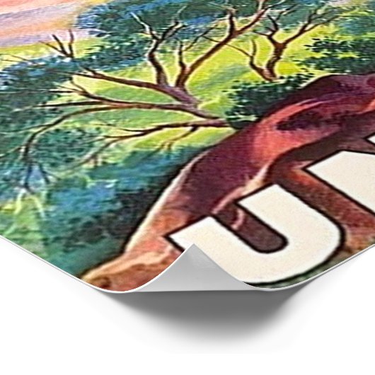 POSTER COLORADO (Coin)