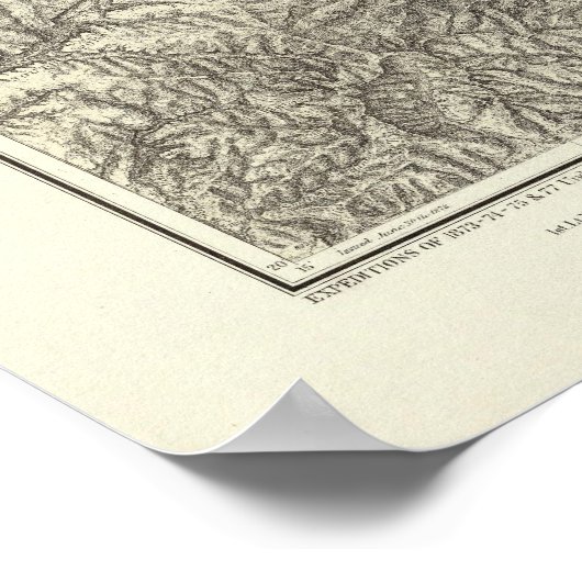 Poster Colorado 10 (Coin)