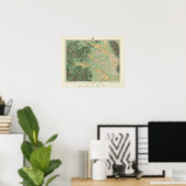 Poster Colorado 8 (Bureau à domicile)