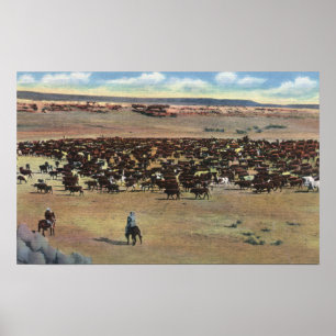 Poster Colorado - Arrondissement de Cowboys