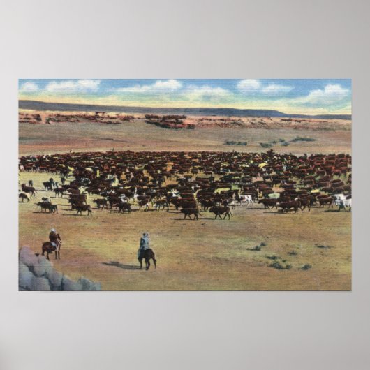 Poster Colorado - Arrondissement de Cowboys (Devant)