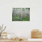 Poster Colorado Aspen (Cuisine)