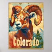Poster Colorado Bighorn brebis (Devant)