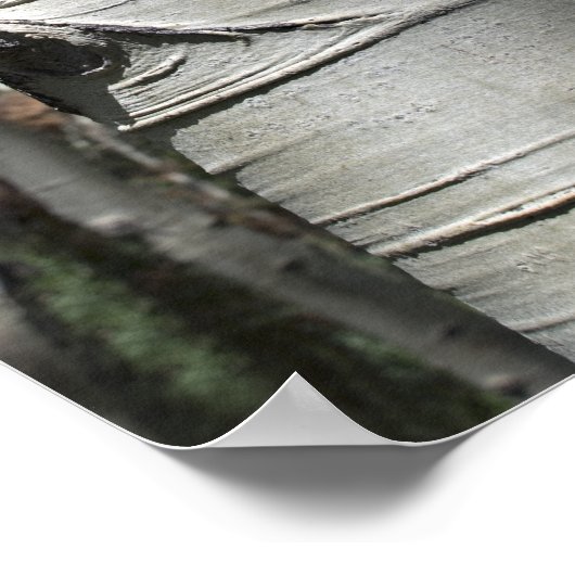 Poster Colorado broyé (Coin)