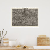 Poster Colorado Carte topographique 1894 (Cuisine)