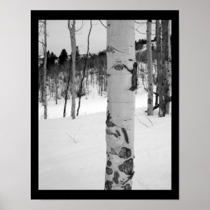 Poster Colorado Hiver Aspen