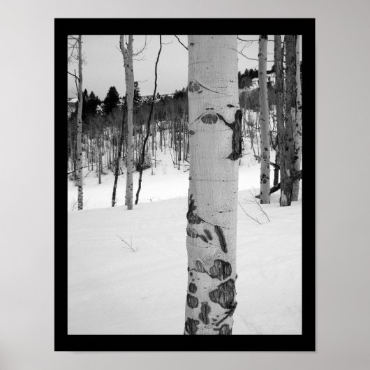 Poster Colorado Hiver Aspen (Devant)