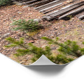 Poster Colorado Outhouse à St. Elmo Ghost Town Photo (Coin)