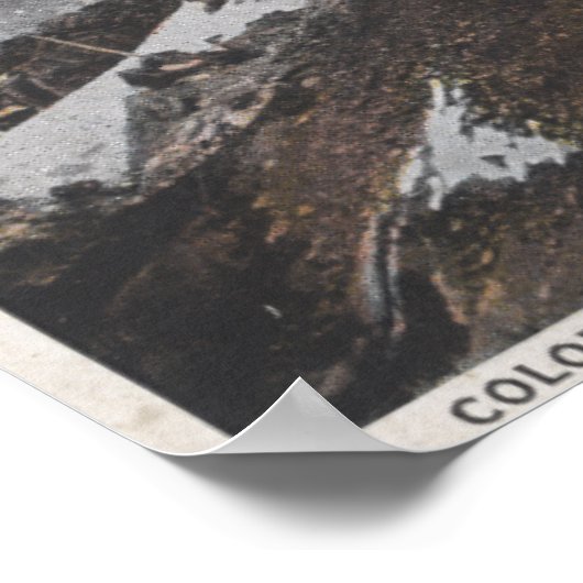 Poster Colorado Springs, Colorado 4 (Coin)