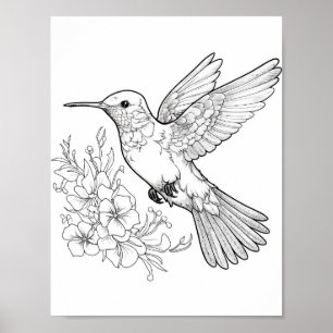 Poster Coloration adulte de colibri
