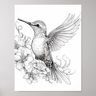 Poster Coloration adulte de colibri