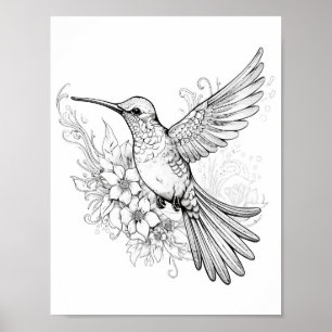 Poster Coloration adulte de colibri