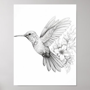 Poster Coloration adulte de colibri