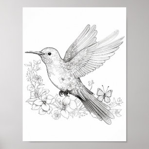 Poster Coloration adulte de colibri
