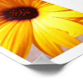 Poster Coloré (Coin)