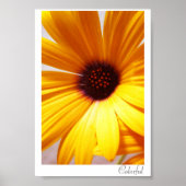 Poster Coloré (Devant)