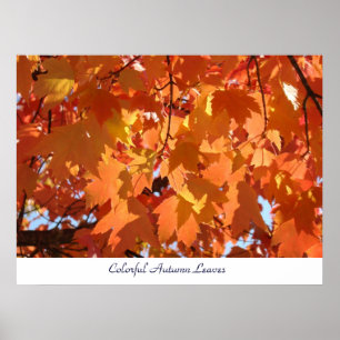 Poster Coloré Automne Feuilles d'art estampes Orange Fall