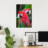 Poster coloré de perroquets de macaw (Bureau à domicile)
