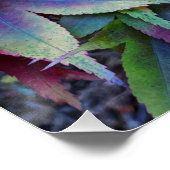 Poster Coloré Feuille d'érable d'automne (Coin)