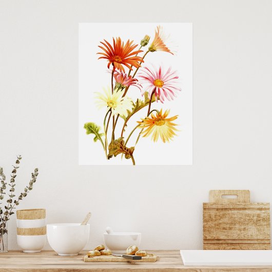 Poster coloré Gerbera Daisy Wallart (Cuisine)
