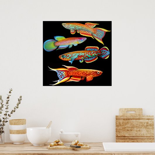 Poster coloré Killifish (Cuisine)