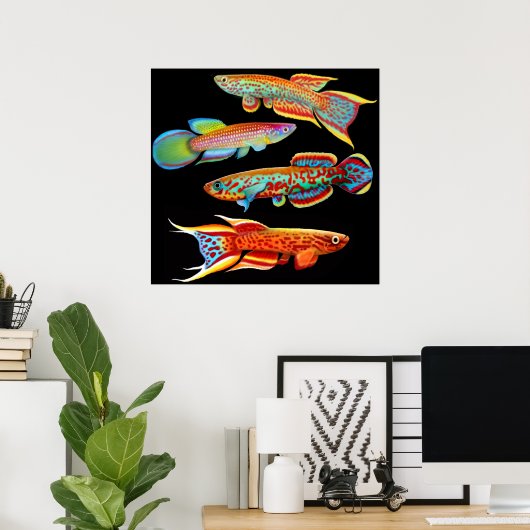 Poster coloré Killifish (Bureau à domicile)