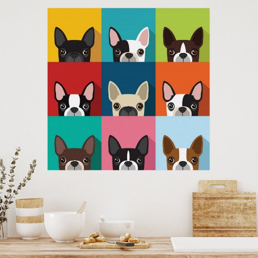Poster Colorée Boston Terriers (Cuisine)