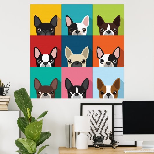 Poster Colorée Boston Terriers (Bureau à domicile)