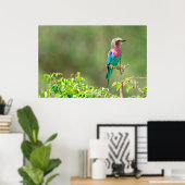 Poster Colorful (Bureau à domicile)