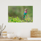 Poster Colorful (Cuisine)