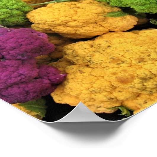 Poster Colorful Cauliflower (Coin)