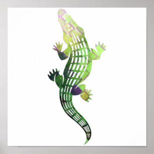 Poster colorful crocodile