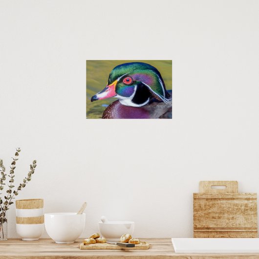 Poster Colorful Duck Close (Cuisine)
