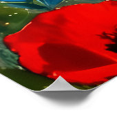 Poster Colorful Flower Garden River Spring Landscape Art (Coin)