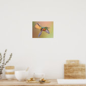 Poster Colorful Hummingbird Flying (Cuisine)