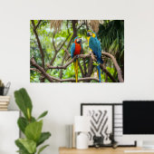 Poster Colorful Macaw Parrots Perched Together (Bureau à domicile)