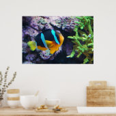Poster Colorful Marine Life (Cuisine)