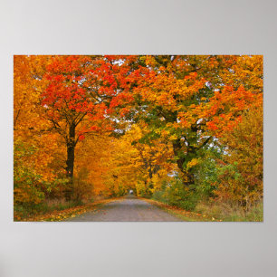 Poster Colorfull d'automne