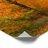 Poster Coloris d'automne (Coin)