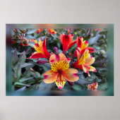 Poster Colors de Summer (Devant)