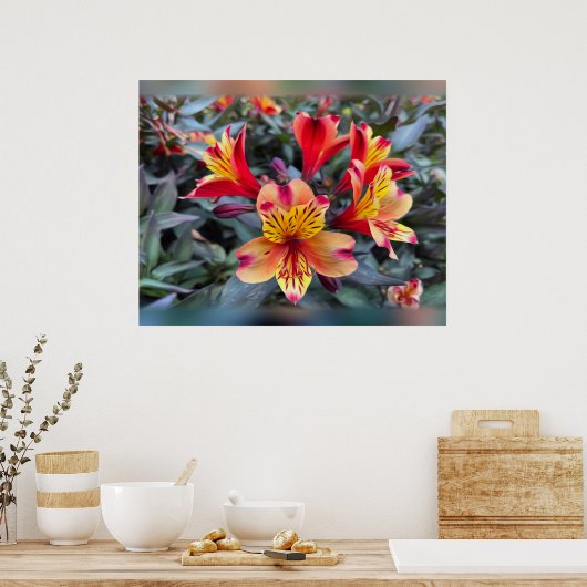 Poster Colors de Summer (Cuisine)