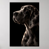 Poster Colosse Gentil (Devant)