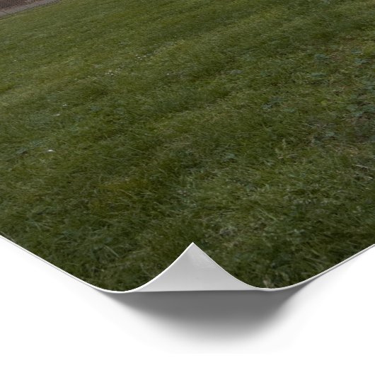 Poster Colosseum à Rome (Coin)