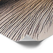 Poster Colosseum in rome italy at sunset (Coin)