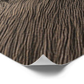 Poster Colosseum in rome with warm sunset light (Coin)