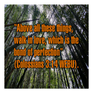 Poster Colossiens 3:14 WEBU